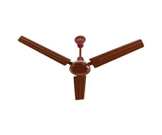 Ceiling Fans
